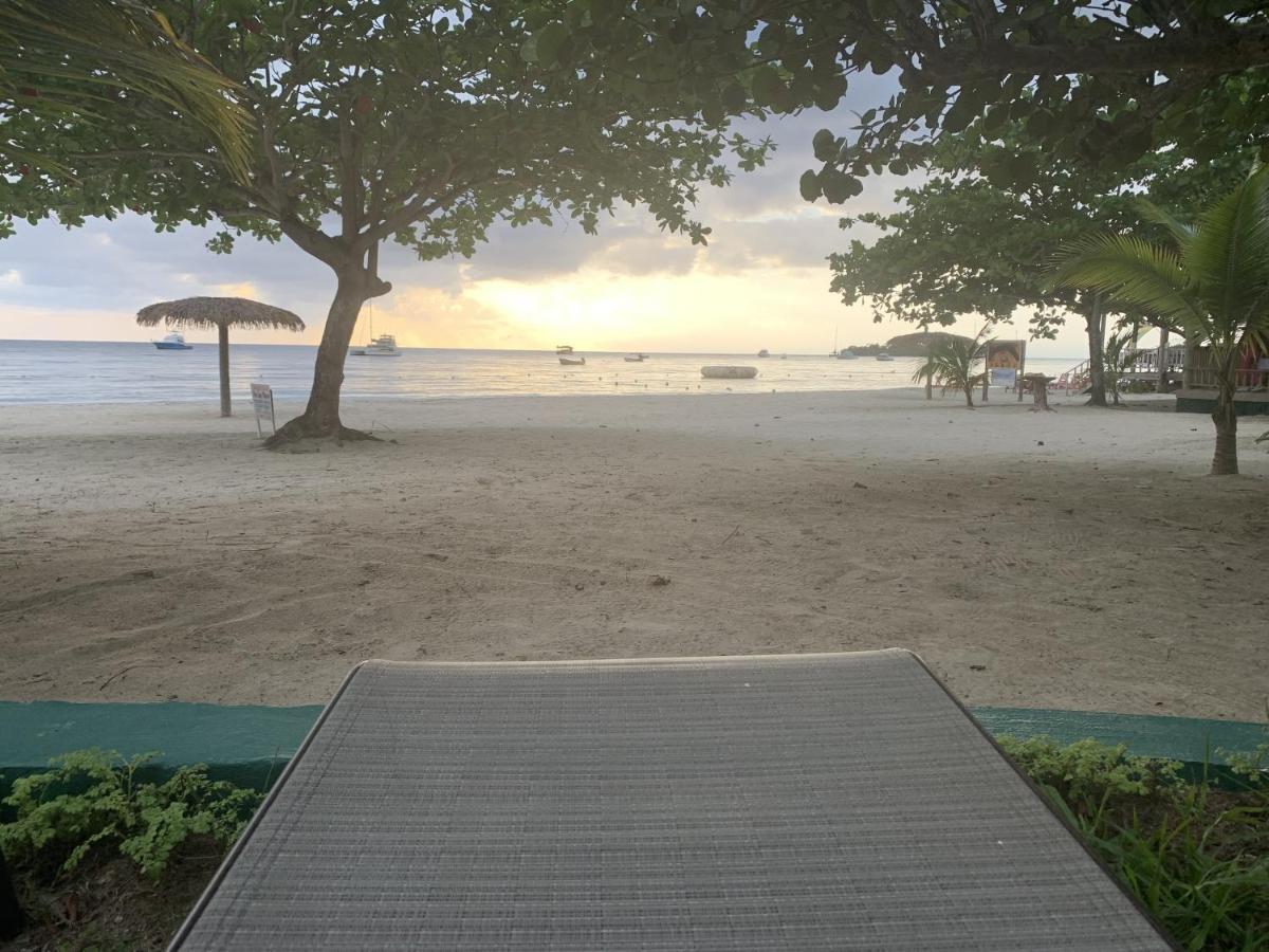King Suite At Oceanview Resort In Jamaica - Enjoy 7 Miles Of White Sand Beach! Негрил Екстериор снимка